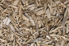 biomass boilers Woolhope Cockshoot